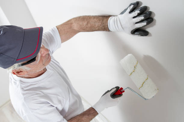  San Tan Valley, AZ Mold Removal Pros