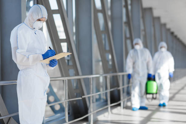 Best Environmental Consulting for Mold Prevention  in San Tan Valley, AZ