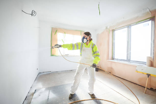 Best Asbestos and Lead Testing During Mold Inspection  in San Tan Valley, AZ