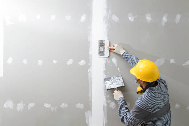 Best Air Quality Testing for Mold Spores  in San Tan Valley, AZ