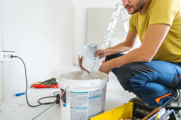 Best Mold Damage Restoration  in San Tan Valley, AZ