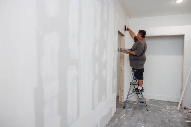 Best Mold Removal for HVAC Installations  in San Tan Valley, AZ