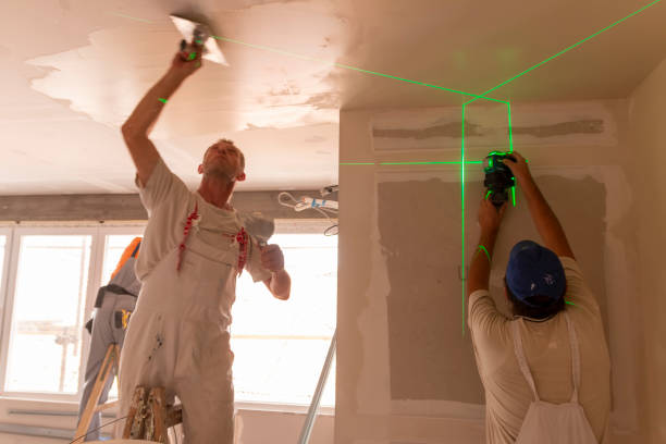 Best Forensic Mold Investigation  in San Tan Valley, AZ