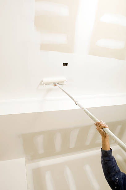 Best Biohazard Mold Removal  in San Tan Valley, AZ