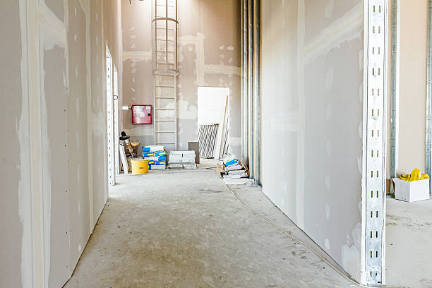 Best Residential Mold Inspection & Testing  in San Tan Valley, AZ