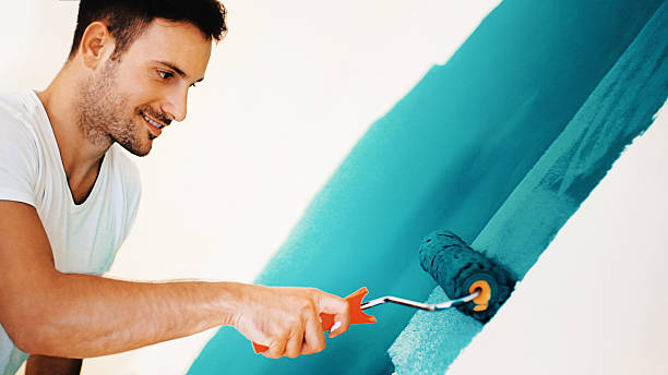 Best Mold Documentation for Insurance Claims  in San Tan Valley, AZ
