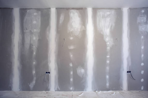 Best Basement Mold Removal  in San Tan Valley, AZ